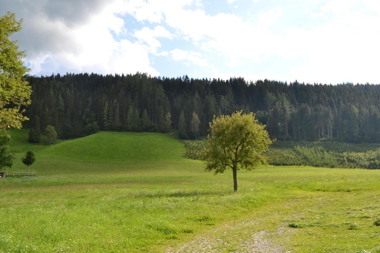 Ferienwohnung Ertlerhof Ranten Екстериор снимка